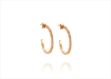Rose Gold Plated CZ Studded Hoop Earring