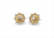 Gold Plated | Cubic Zirconia Set Stud Earrings