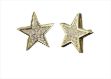 Hip Hop Iced Out Star Earrings