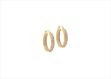 Three Tone Plated Seminario Earring