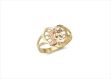 15 Numerical Ring