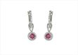 Silver Tone Dangle Earrings
