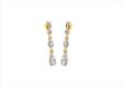 Traditional Drop Earrings