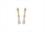 Traditional Drop Earrings