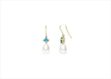 Designer Drop Earrings