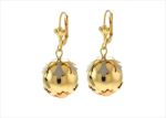 Festive Wear Earrings