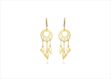 Elegant Gold Earrings