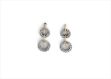 Elegant Dual Tone Earrings