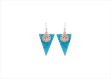 Elegant Dual Tone Earrings