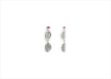Elegant Silver Earrings