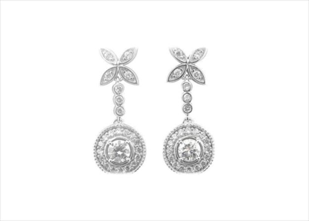 Elegant Silver Earrings