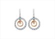 Long Drop Earrings