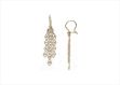 Elegant Dual Tone Earrings