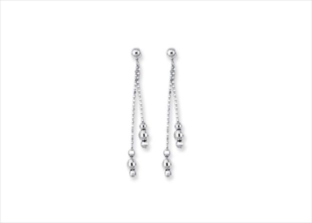 Elegant Silver Earrings