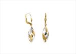 Elegant Dual Tone Earrings