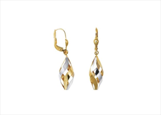 Elegant Dual Tone Earrings