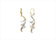 Designer Drop Earrings