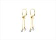 Elegant Dual Tone Earrings
