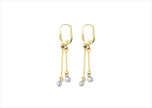 Elegant Dual Tone Earrings