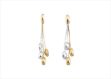 Elegant Dual Tone Earrings