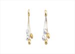 Elegant Dual Tone Earrings
