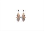 Elegant Dual Tone Earrings