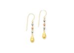 Designer Drop Earrings
