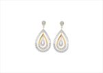 Elegant Dual Tone Earrings
