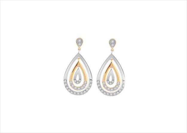 Elegant Dual Tone Earrings