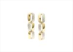 Elegant Dual Tone Earrings