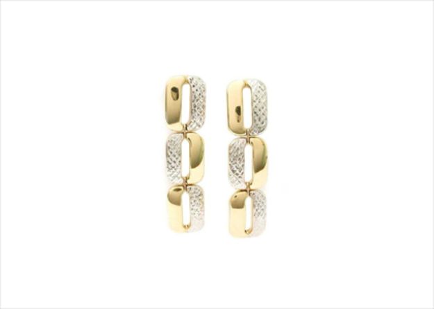 Elegant Dual Tone Earrings