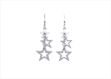 Elegant Silver Earrings