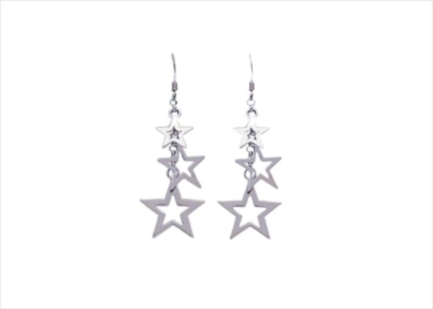 Elegant Silver Earrings
