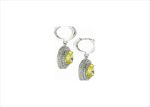 Elegant Silver Earrings