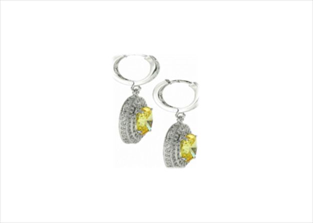 Elegant Silver Earrings