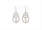 Elegant Silver Earrings