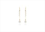 Elegant Dual Tone Earrings