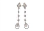 Elegant Silver Earrings