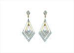 Elegant Dual Tone Earrings