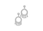 Designer Drop Earrings