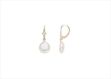 Gold Plated | Clip Earrings