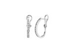 Anti Tarnish Earrings