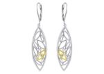 Elegant Women's Earrings