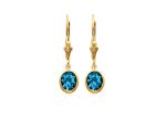 Gold Plated Gemstone Dangle Earring