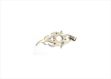 Rhodium Plated | Mens Pendants