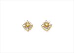 Gold Plated | Cubic Zirconia Set Stud Earrings