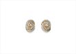 Gold Plated | Cubic Zirconia Set Stud Earrings