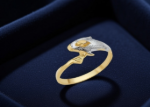 Premium Finish Dolphin Ring