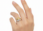 Trendy Dolphin Animal Ring