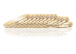 three tone plated side veni bangles